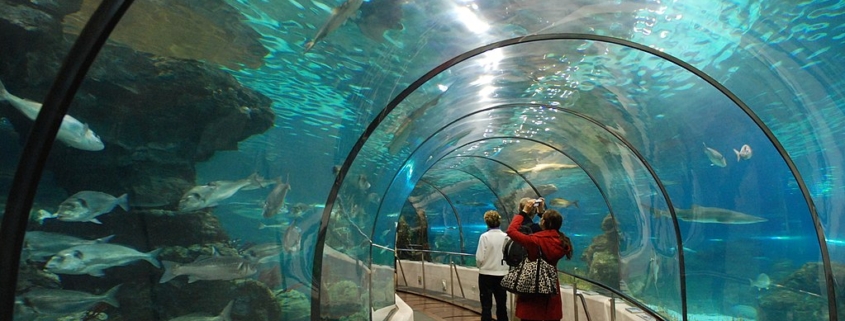 Аквариум в Барселоне