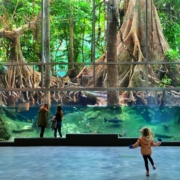 Тропический лес в музее КосмоКайша